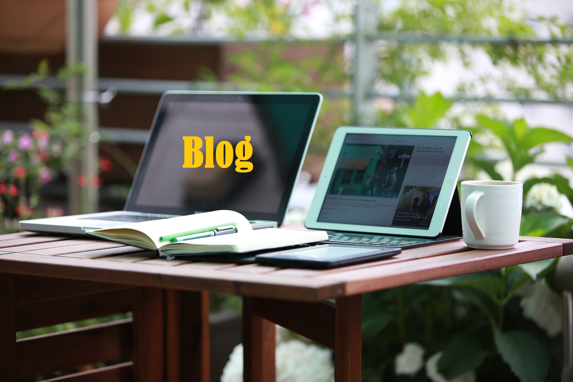 como criar um blog profissional wordpress